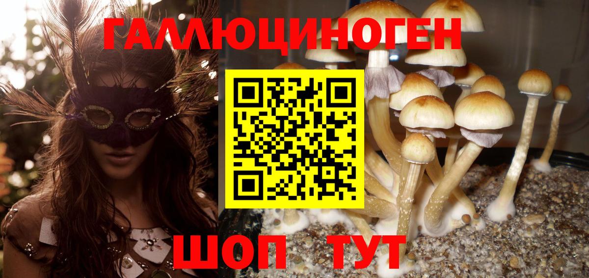 Галлюциногенные грибы Курганинск